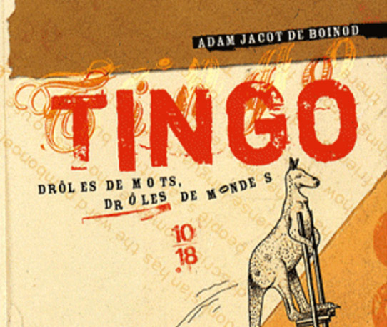 Tingo
                                
                                